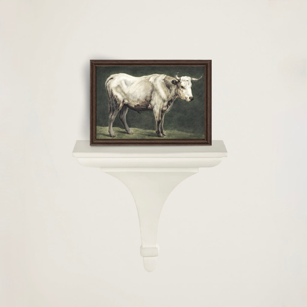 White Longhorn Cattle Art Print |  Vintage Farmhouse/ Country Wall Art