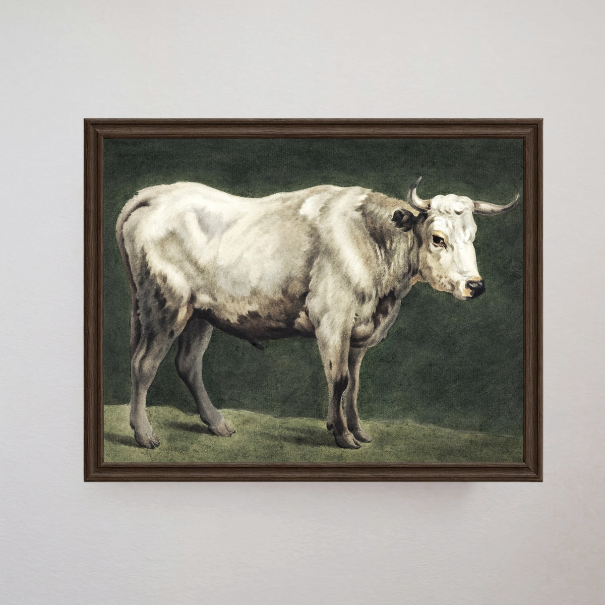 White Longhorn Cattle Art Print |  Vintage Farmhouse/ Country Wall Art