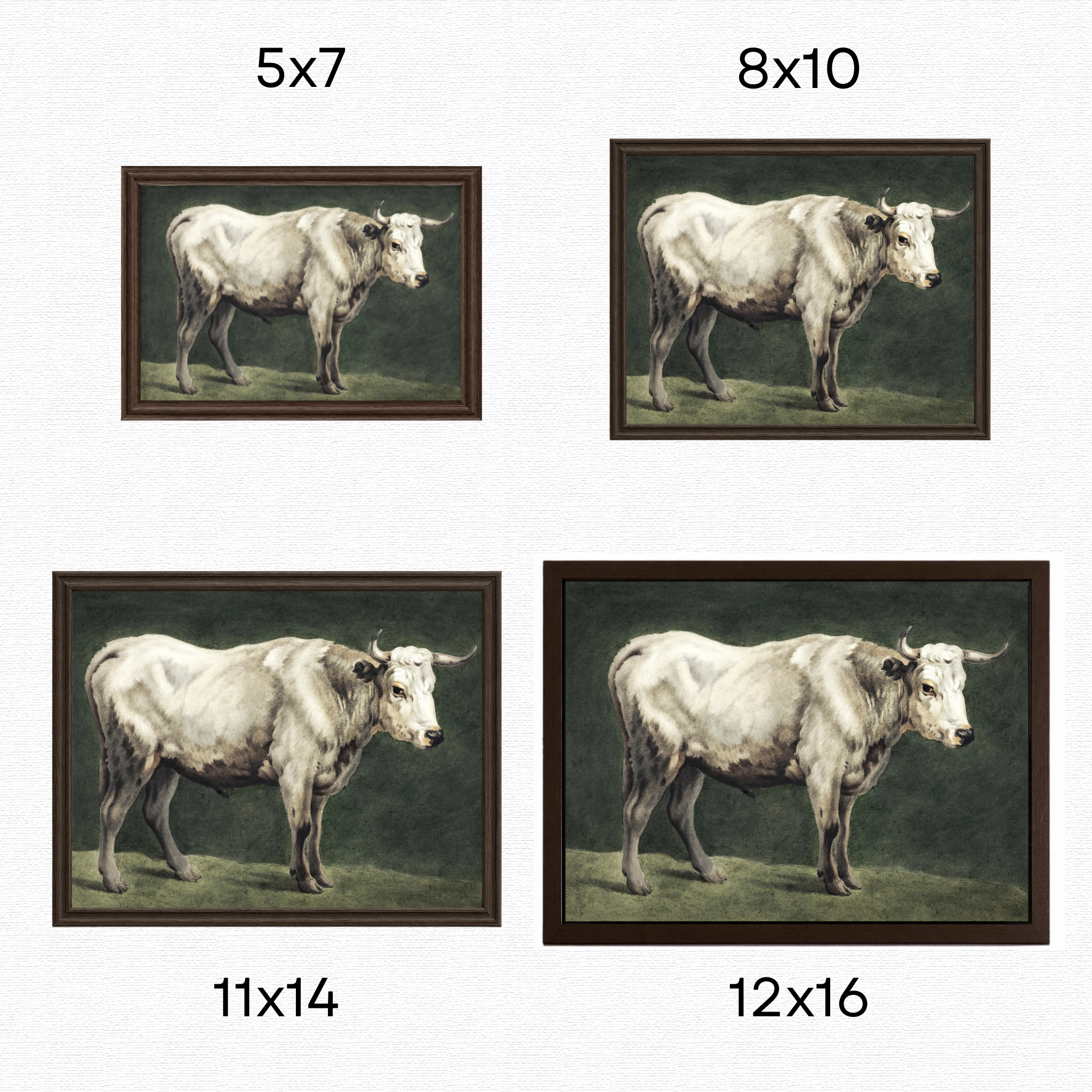 White Longhorn Cattle Art Print |  Vintage Farmhouse/ Country Wall Art
