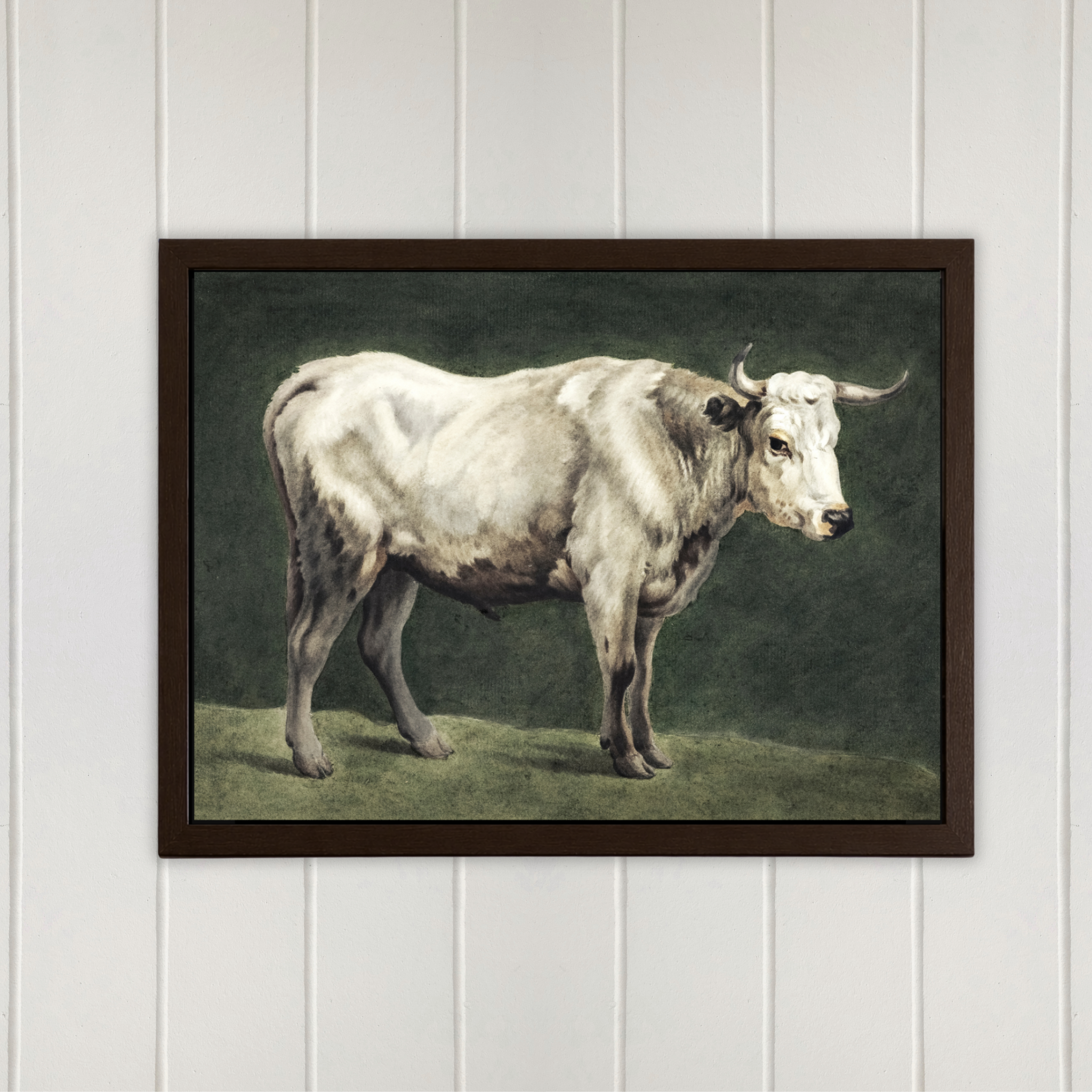 White Longhorn Cattle Art Print |  Vintage Farmhouse/ Country Wall Art
