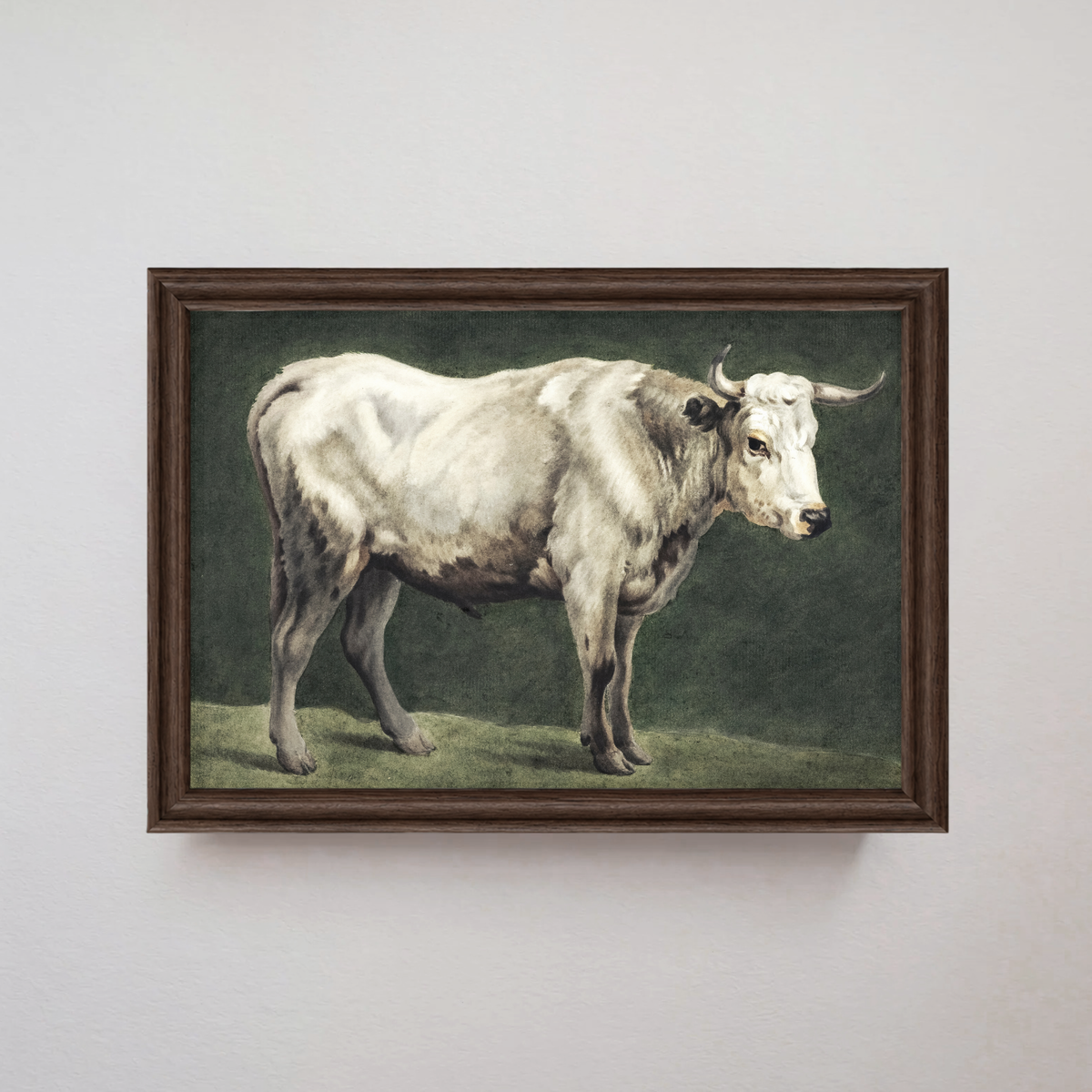 White Longhorn Cattle Art Print |  Vintage Farmhouse/ Country Wall Art