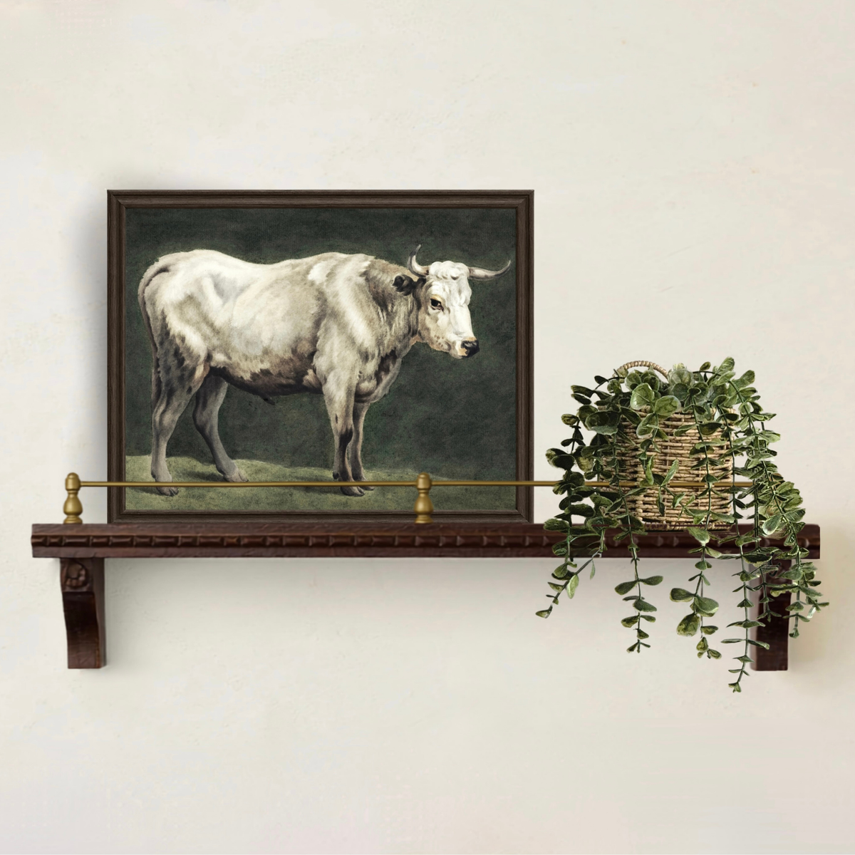 White Longhorn Cattle Art Print |  Vintage Farmhouse/ Country Wall Art