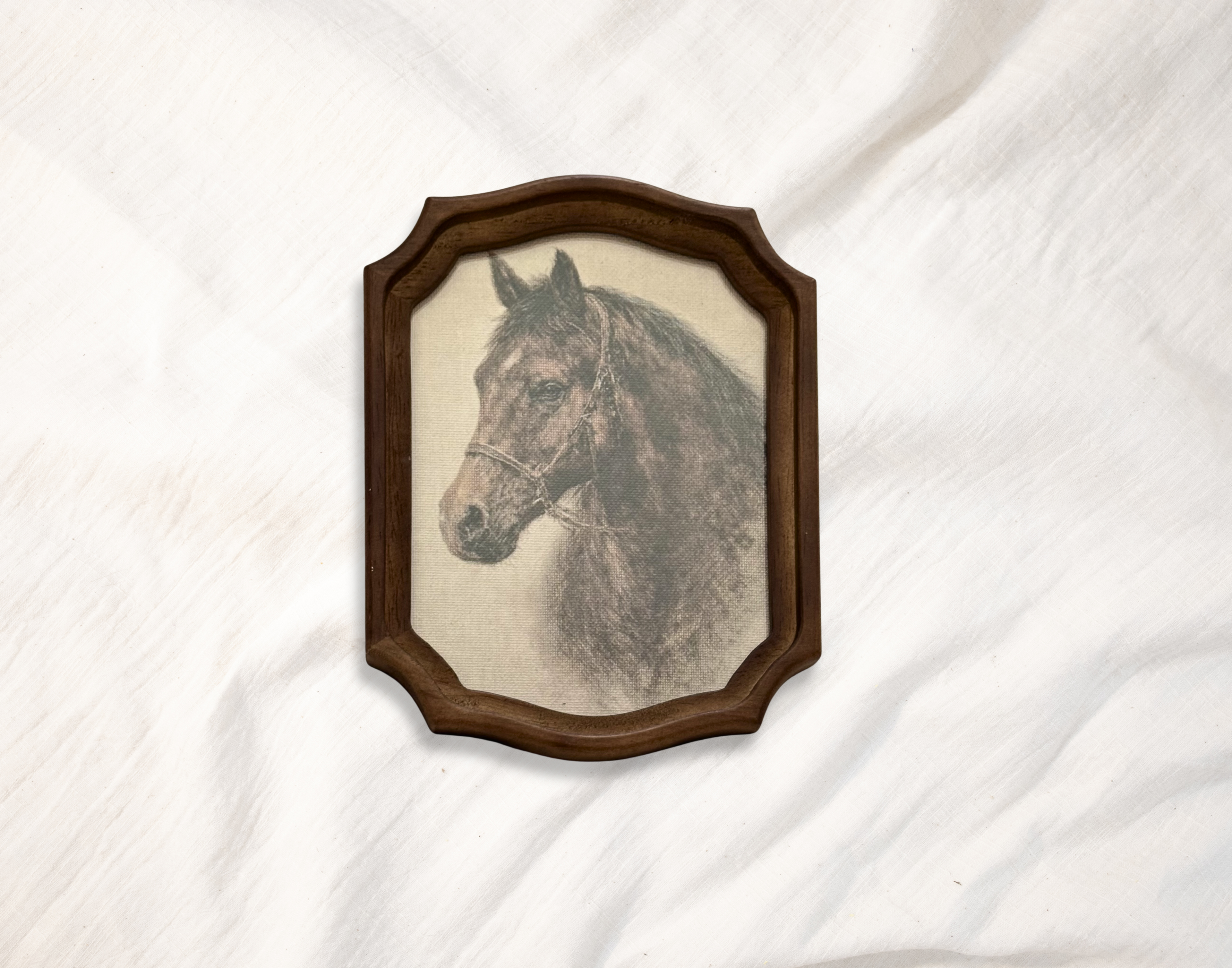 Vintage CANVAS Framed Horse Picture- 5x7